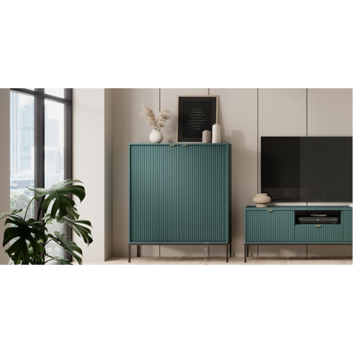 Ensemble meuble TV NOVA couleur Vert